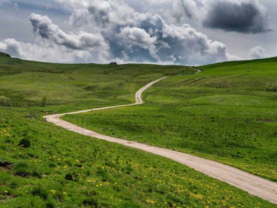 Chemin blanc